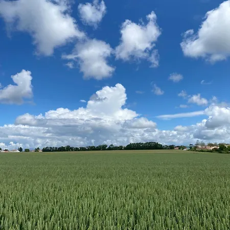 Διαμέρισμα L De Steph *